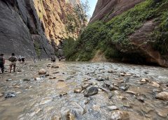 Zion National Park and The Narrows