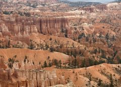 Hoodoos of Bryce Canyon and the Journey to Moab