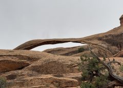 Hidden Waterfalls and the Arches of Moab